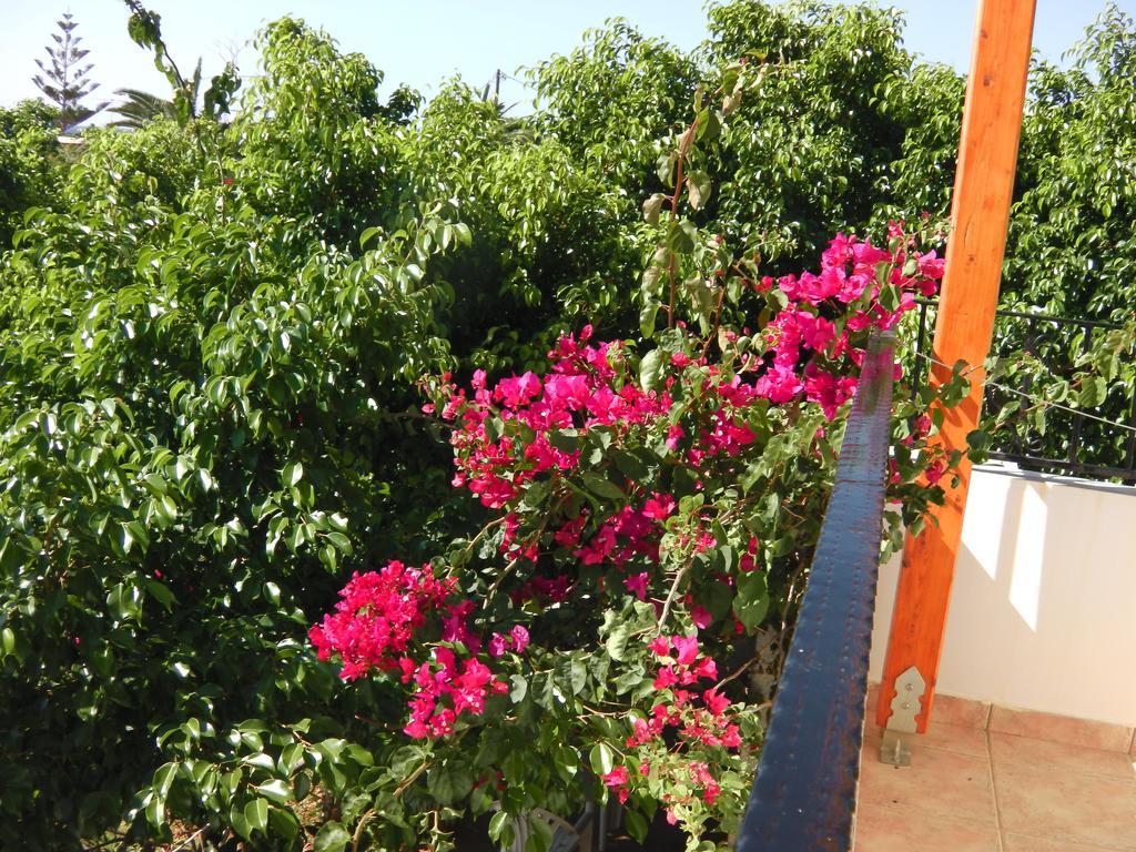 Serenity Hideaway Palaiochora Room photo